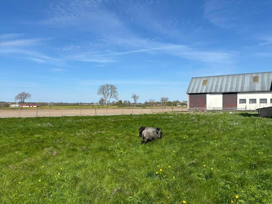 Oesterlen Oasis Spjutstorp Exterior photo